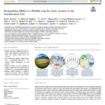 Reimagining alfalfa as a flexible crop for water security in the Southwestern USA